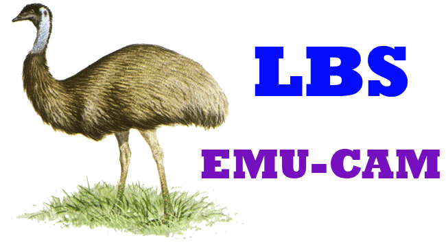 LBS Emu-Cam!