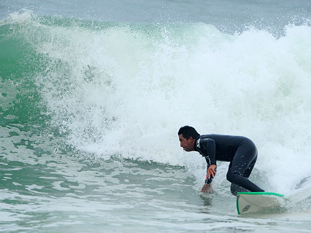 Shark Attacks Increase on the Coast