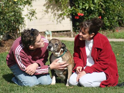 DAWG: Dog Adoption and Welfare Group