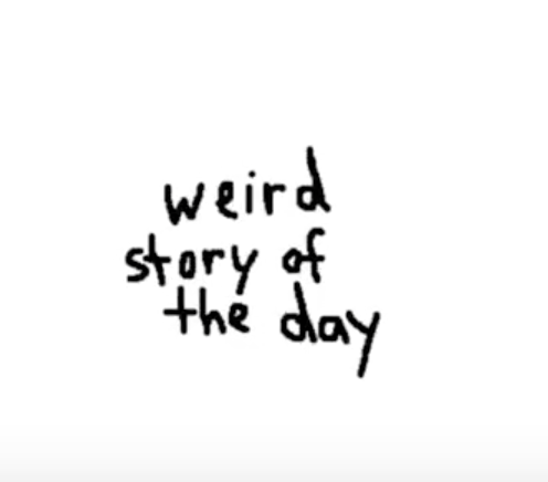 Weird Story of the Day: Episode 7