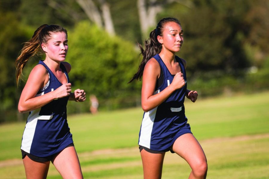 In Defense of Cross Country