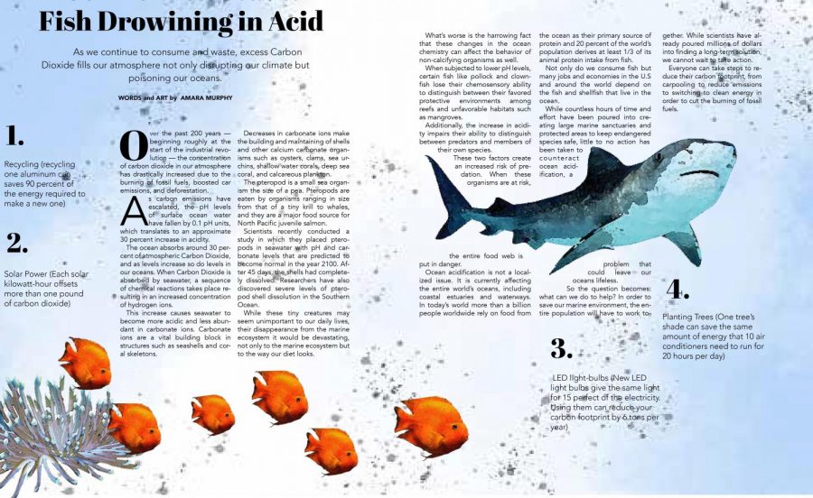 Our Acidic Oceans: Fish Drowning in Acid