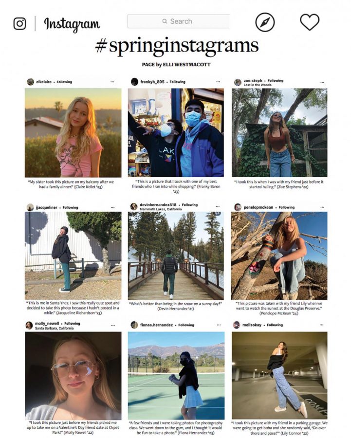 #springinstagrams
