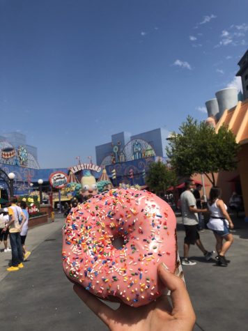 Food Tour and Review of Universal Studios