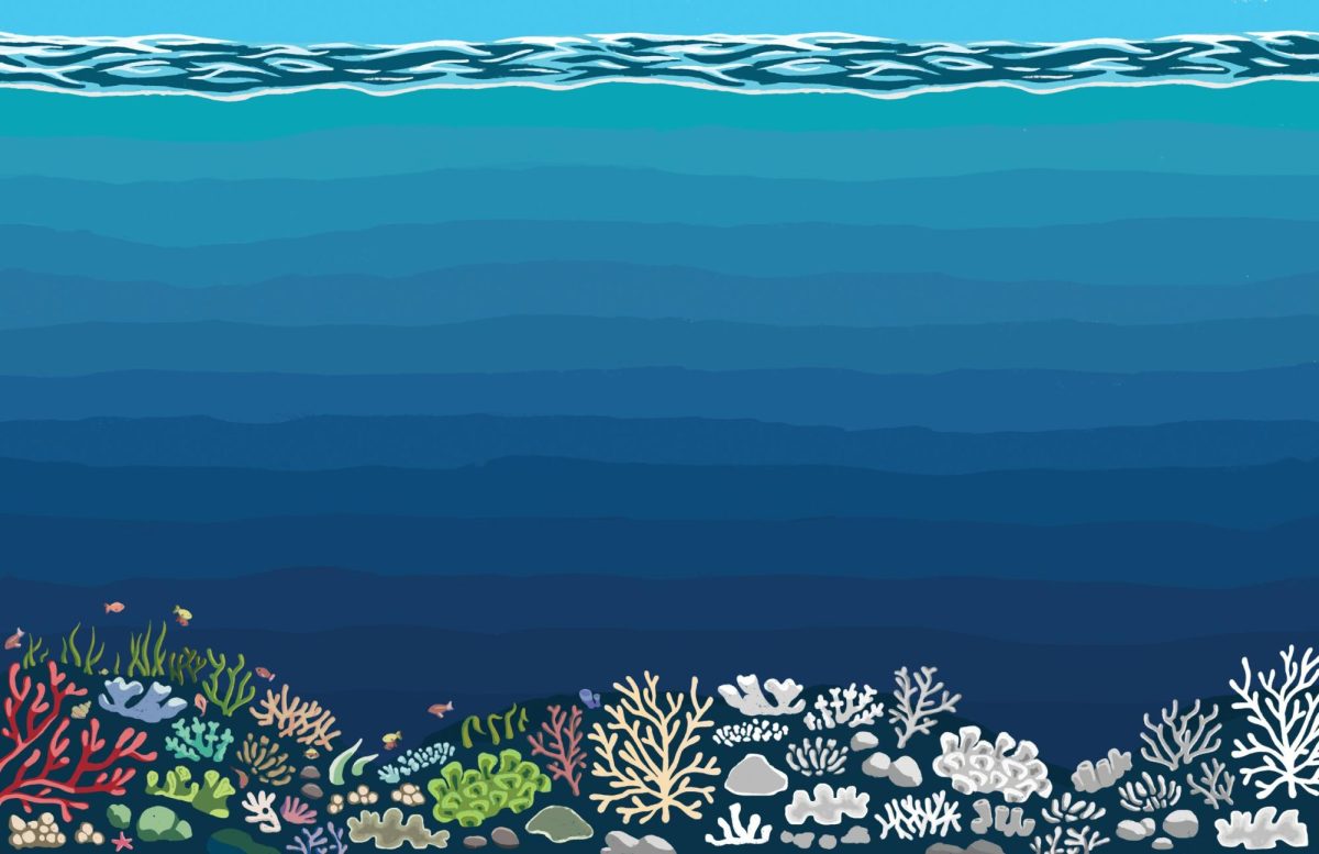 The Loss of the Coral Reefs