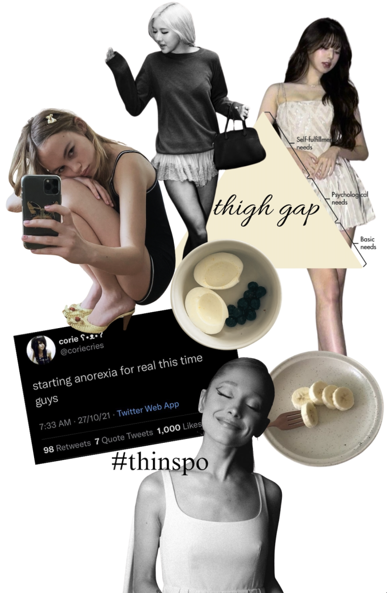 Eating Disorder Culture and Social Media