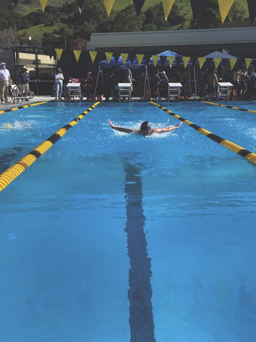 Siobhan Swims